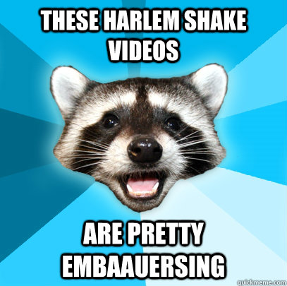 THESE HARLEM SHAKE VIDEOS ARE PRETTY EMBAAUERSING   Lame Pun Coon