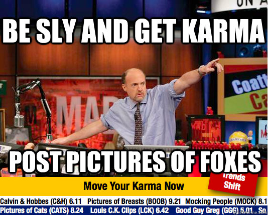 Be sly and get karma Post pictures of foxes - Be sly and get karma Post pictures of foxes  Mad Karma with Jim Cramer