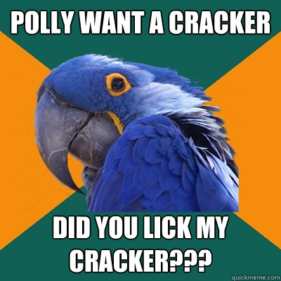 POLLY WANT A CRACKER DID YOU LICK MY CRACKER???  Paranoid Parrot