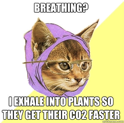 Breathing? I exhale into plants so they get their CO2 faster  Hipster Kitty