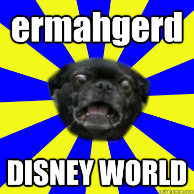 ermahgerd DISNEY WORLD  