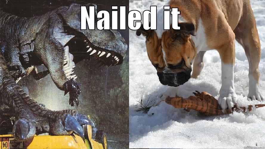 NAILED IT  Misc