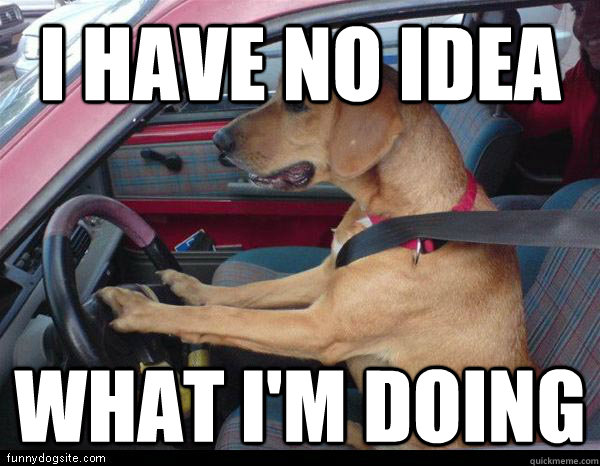 I have no idea  What i'm doing  Clueless American Driver