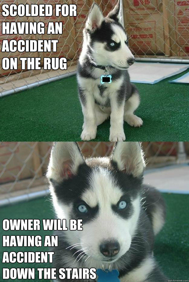 Scolded for
having an 
accident
on the rug Owner will be
having an 
accident
down the stairs - Scolded for
having an 
accident
on the rug Owner will be
having an 
accident
down the stairs  Insanity puppy