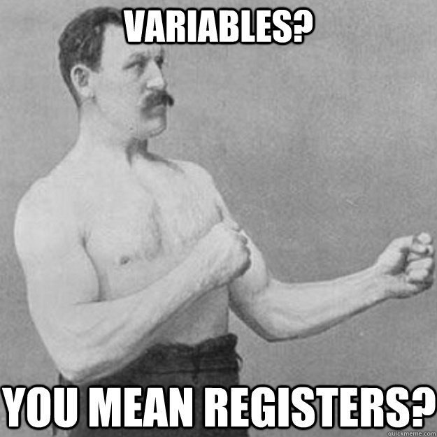 Variables? You mean registers?  overly manly man