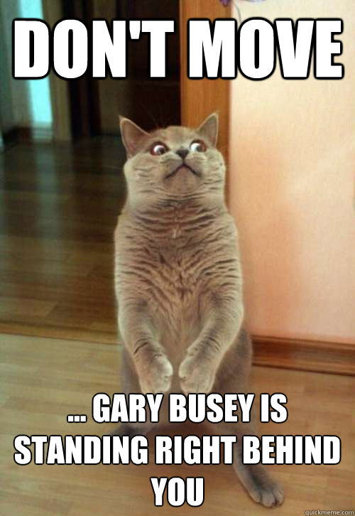 DON'T MOVE ... Gary Busey is standing right behind you  Horrorcat