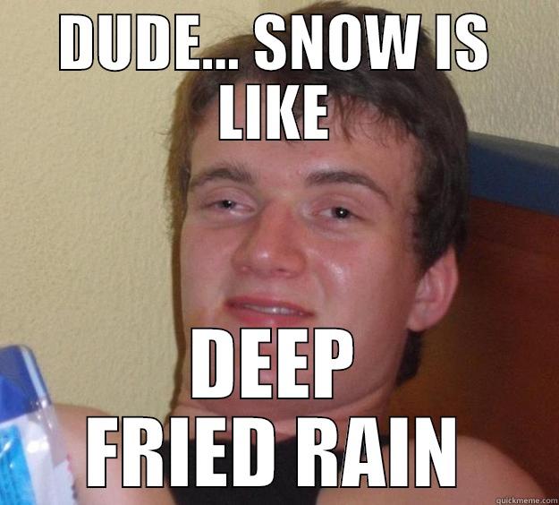 deep fried rain - DUDE... SNOW IS LIKE DEEP FRIED RAIN 10 Guy