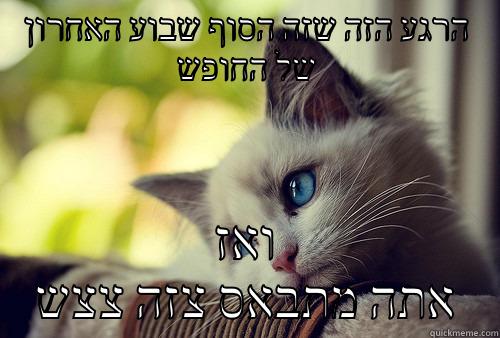 סוף שבוע - הרגע הזה שזה הסוף שבוע האחרון של החופש ואז אתה מתבאס צזה צצש First World Problems Cat