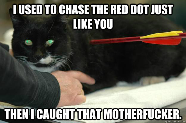 I used to chase the red dot just like you Then I caught that motherfucker.  Worlds Toughest Cat