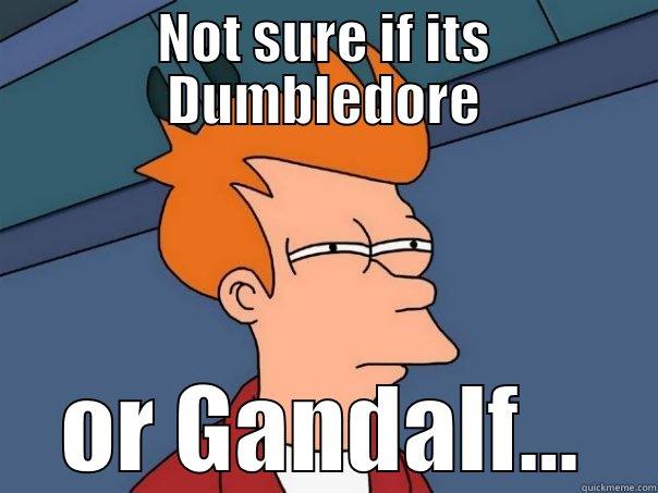 Harry Potter vs Lord of the Rings - NOT SURE IF ITS DUMBLEDORE OR GANDALF... Futurama Fry
