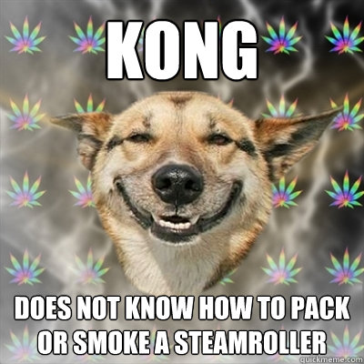 KONG DOES NOT KNOW HOW TO PACK OR SMOKE A STEAMROLLER  Stoner Dog