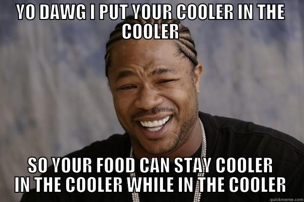 YO DAWG I PUT YOUR COOLER IN THE COOLER SO YOUR FOOD CAN STAY COOLER IN THE COOLER WHILE IN THE COOLER Xzibit meme