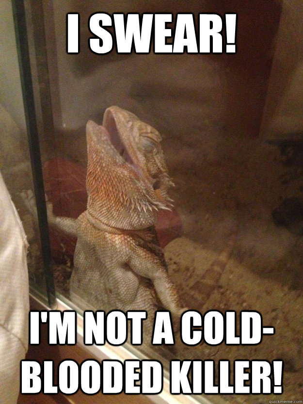 I swear! I'm not a cold-blooded killer! - I swear! I'm not a cold-blooded killer!  Innocent Lizard