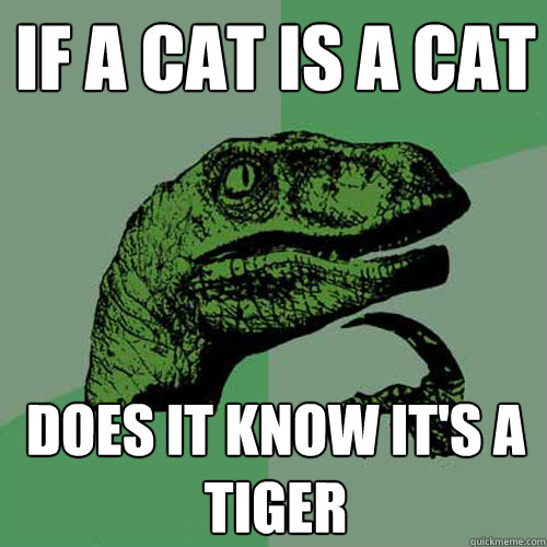 If a cat is a cat does it know it's a tiger - If a cat is a cat does it know it's a tiger  Philosoraptor