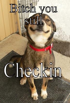 BITCH YOU STILL CHECKIN Good Dog Greg