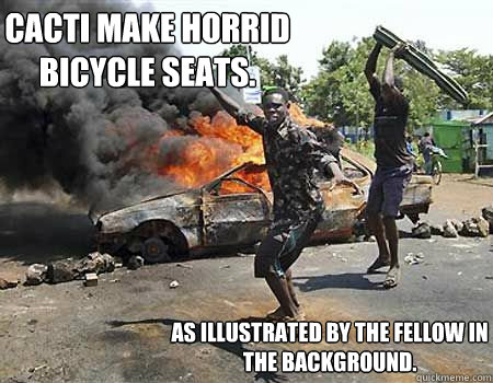 cacti make horrid bicycle seats. as illustrated by the fellow in the background. - cacti make horrid bicycle seats. as illustrated by the fellow in the background.  Cactus of inconvienience