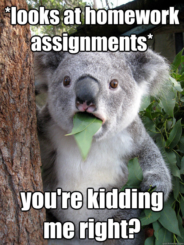 *looks at homework assignments* you're kidding me right? - *looks at homework assignments* you're kidding me right?  Misc