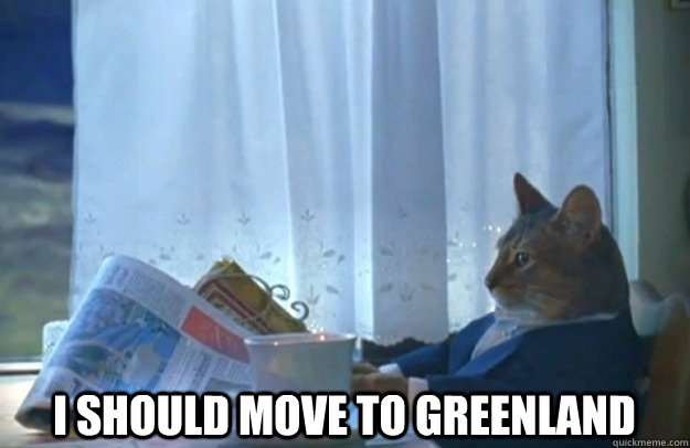  I should move to Greenland  Sophisticated Cat
