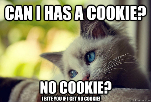 Can I has a cookie? No Cookie? I Bite you if i get nu cookie! - Can I has a cookie? No Cookie? I Bite you if i get nu cookie!  First World Problems Cat