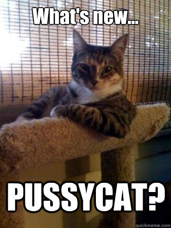 What's new... PUSSYCAT?  The Most Interesting Cat in the World