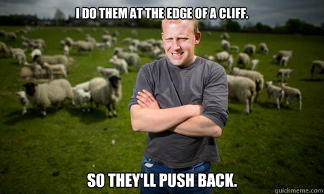 I do them at the edge of a cliff. So they'll push back.  Sheep Farmer