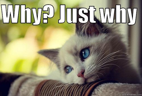 WHY? JUST WHY   First World Problems Cat