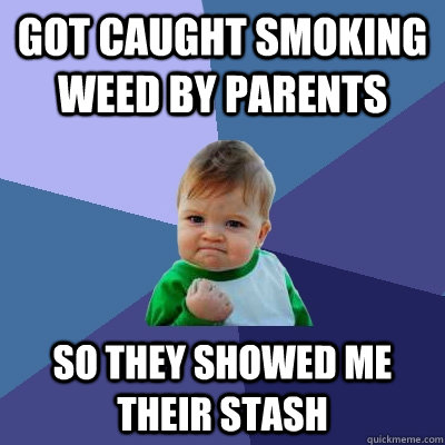got caught smoking weed by parents so they showed me their stash  - got caught smoking weed by parents so they showed me their stash   Success Kid