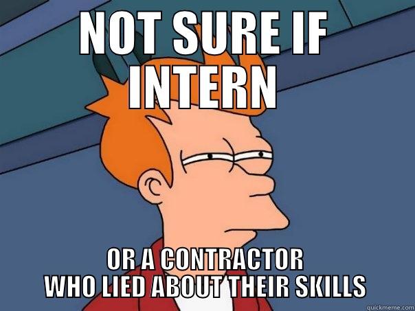 NOT SURE IF INTERN OR A CONTRACTOR WHO LIED ABOUT THEIR SKILLS Futurama Fry