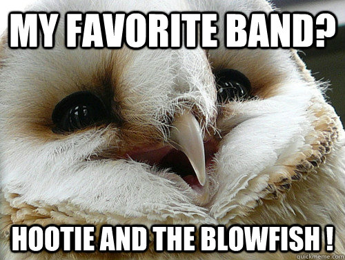 MY FAVORITE BAND? HOOTIE AND THE BLOWFISH !  Punny Owl