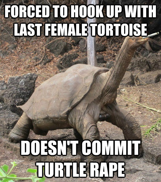 Forced to hook up with last female tortoise doesn't commit turtle rape  Good Guy George