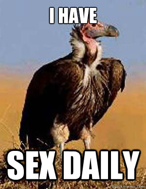 I have Sex daily - I have Sex daily  Dyslexic Vulture