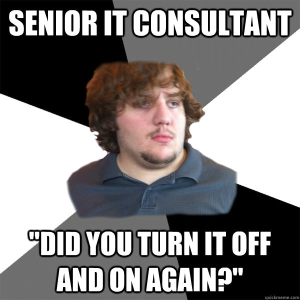 Senior IT Consultant 
