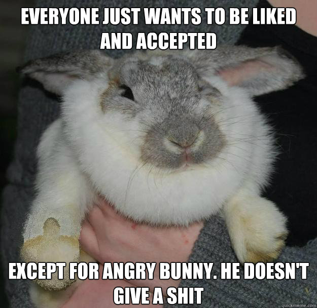 Everyone just wants to be liked and accepted Except for angry bunny. he doesn't give a shit  Angry Bunny