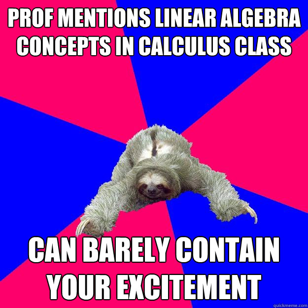 prof mentions linear algebra concepts in calculus class can barely contain your excitement  Math Major Sloth