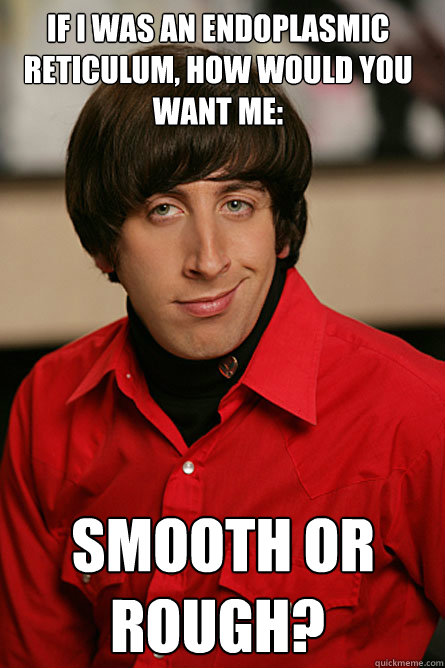 If I was an endoplasmic reticulum, how would you want me:  smooth or rough?  Pickup Line Scientist