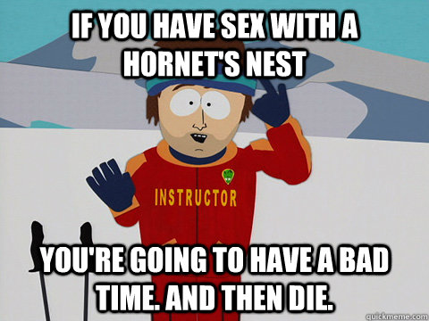 If you have sex with a hornet's nest you're going to have a bad time. And then die.  South Park Bad Time