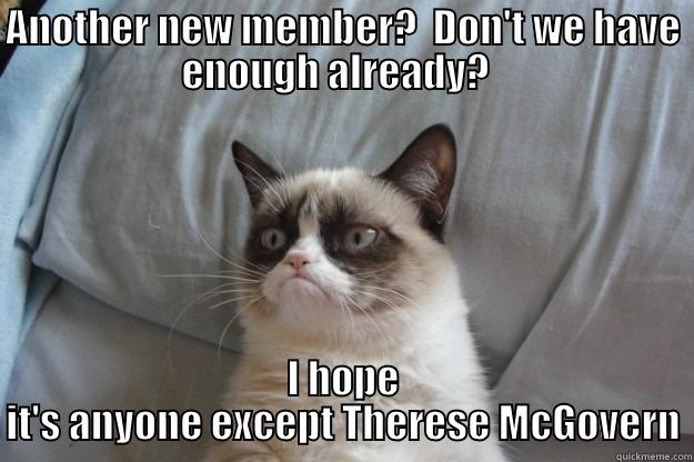 ANOTHER NEW MEMBER?  DON'T WE HAVE ENOUGH ALREADY?   I HOPE IT'S ANYONE EXCEPT THERESE MCGOVERN Grumpy Cat