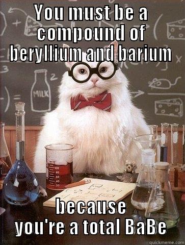 YOU MUST BE A COMPOUND OF BERYLLIUM AND BARIUM BECAUSE YOU'RE A TOTAL BABE Chemistry Cat