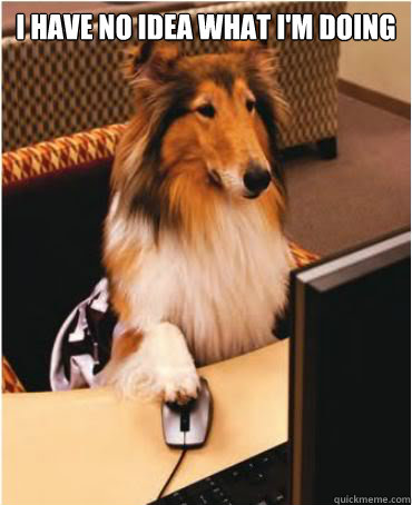 I have no idea what i'm doing  - I have no idea what i'm doing   Internet Reveille