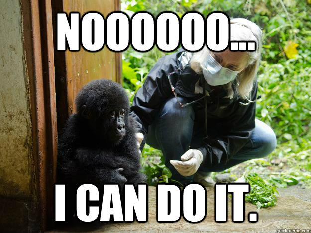 Noooooo... I can do it. - Noooooo... I can do it.  Stewart