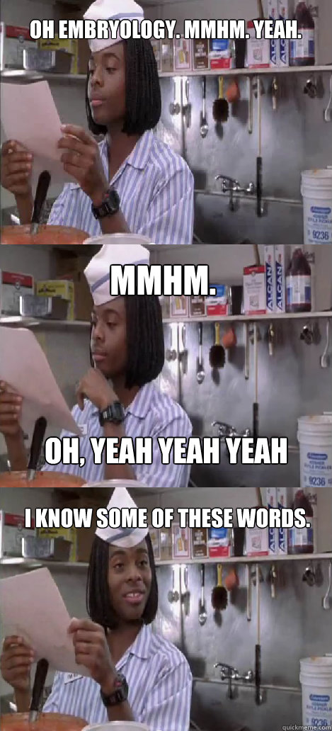 Oh embryology. mmhm. yeah. mmhm.  I know some of these words. oh, yeah yeah yeah  Oblivious Good Burger