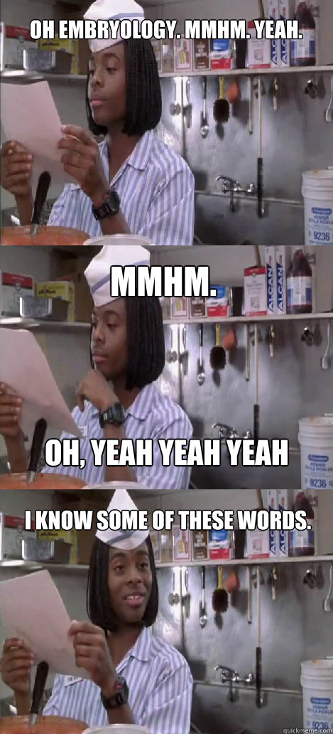 Oh embryology. mmhm. yeah. mmhm.  I know some of these words. oh, yeah yeah yeah - Oh embryology. mmhm. yeah. mmhm.  I know some of these words. oh, yeah yeah yeah  Oblivious Good Burger