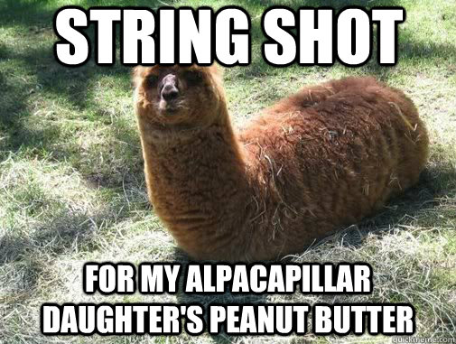 String Shot for my alpacapillar daughter's peanut butter  Alpacapillar