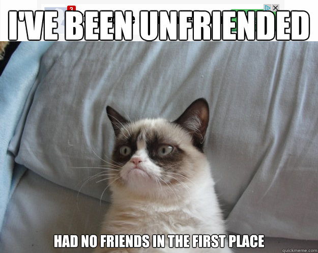 i've been unfriended had no friends in the first place
  Grumpy Cat on Being Unfriended