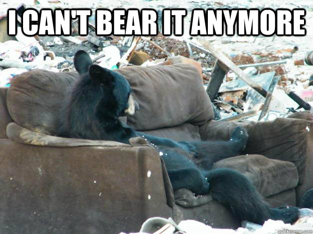 I can't bear it anymore  Bankruptcy Bear