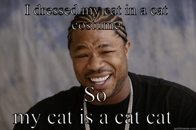 I DRESSED MY CAT IN A CAT COSTUME SO MY CAT IS A CAT CAT  Xzibit meme