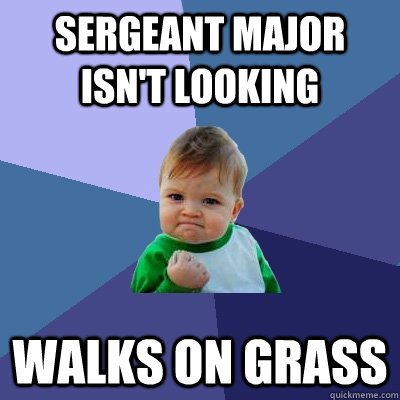 Sergeant major isn't looking Walks on grass - Sergeant major isn't looking Walks on grass  Success Kid