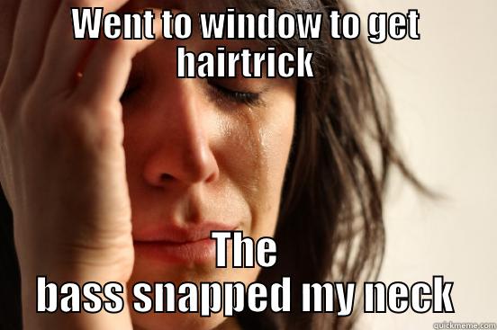WENT TO WINDOW TO GET HAIRTRICK THE BASS SNAPPED MY NECK First World Problems