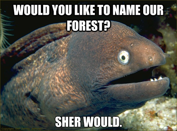 Would you like to name our forest? Sher would.  Bad Joke Eel