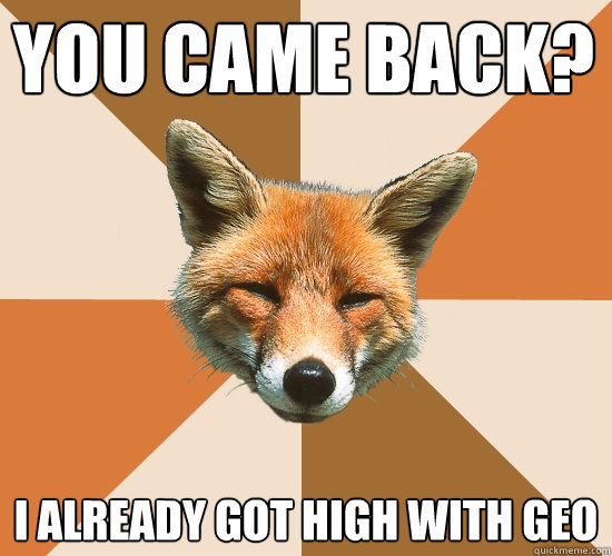 You came back?
 I already got high with geo  Condescending Fox